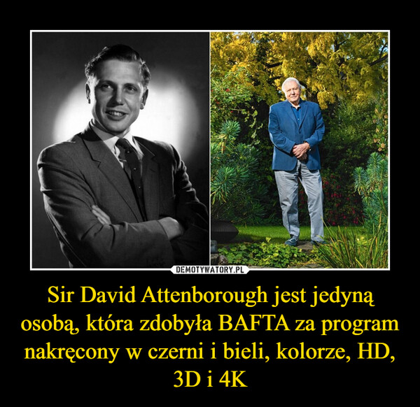 Sir David Attenborough jest jedyną osobą, która zdobyła BAFTA za program nakręcony w czerni i bieli, kolorze, HD, 3D i 4K –  