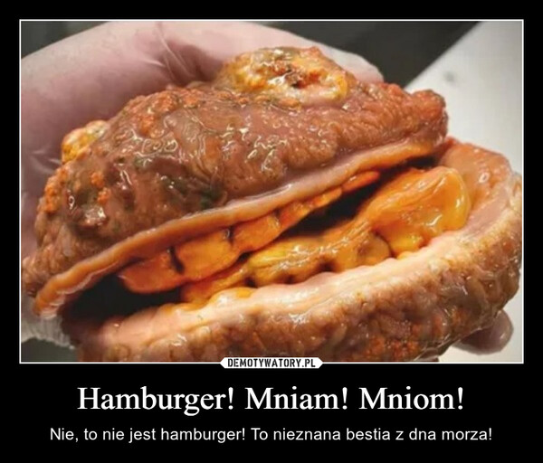 Hamburger! Mniam! Mniom!