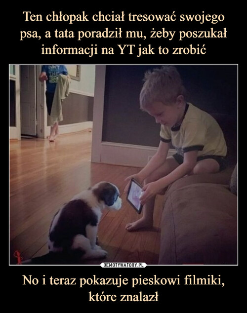 Ten chłopak chciał tresować swojego psa, a tata poradził mu, żeby poszukał informacji na YT jak to zrobić No i teraz pokazuje pieskowi filmiki, które znalazł