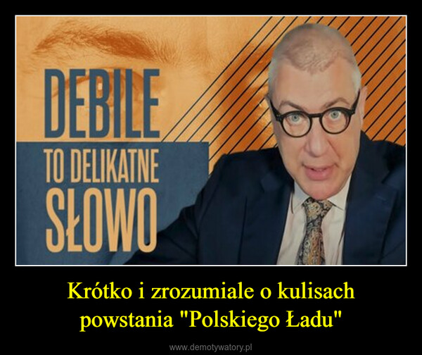 Krótko i zrozumiale o kulisach powstania "Polskiego Ładu" –  