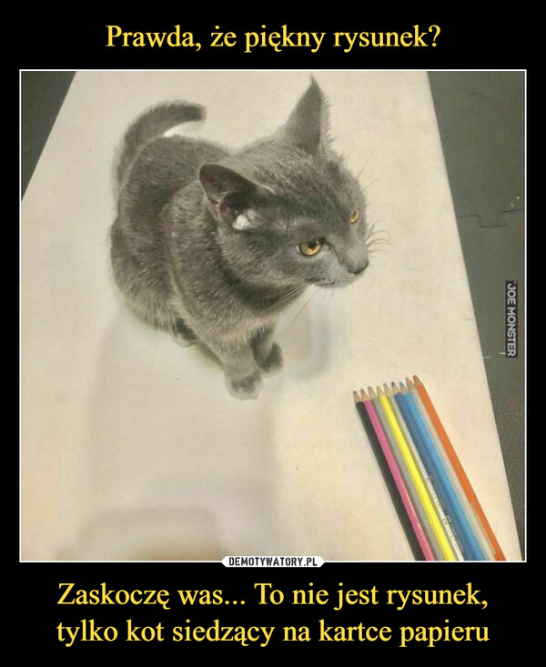 Zaskoczę was... To nie jest rysunek, tylko kot siedzący na kartce papieru –  