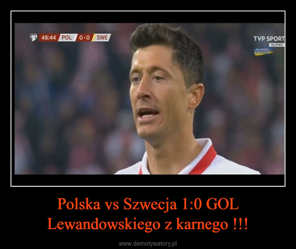 Polska vs Szwecja 1:0 GOL Lewandowskiego z karnego !!! –  