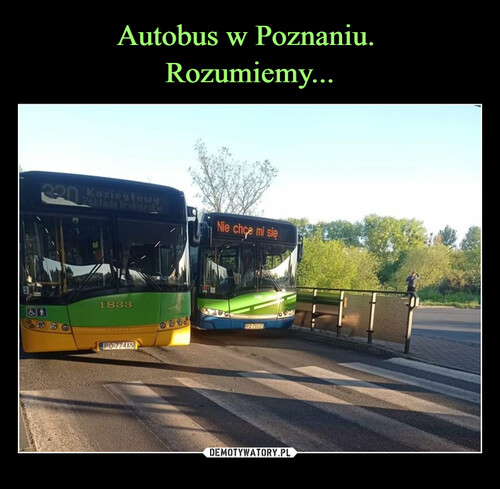 Autobus w Poznaniu. 
Rozumiemy...
