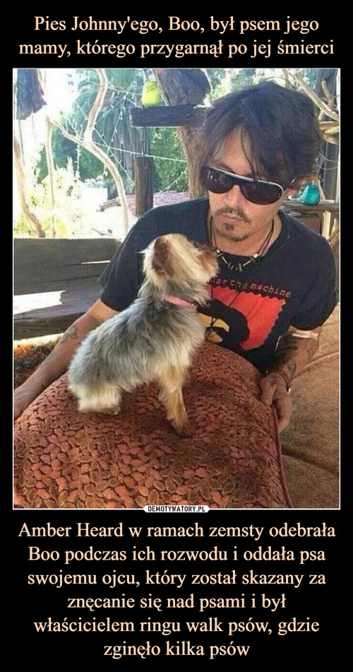 Pies Johnny'ego, Boo, był psem jego mamy, którego przygarnął po jej śmierci Amber Heard w ramach zemsty odebrała Boo podczas ich rozwodu i oddała psa swojemu ojcu, który został skazany za znęcanie się nad psami i był właścicielem ringu walk psów, gdzie zginęło kilka psów