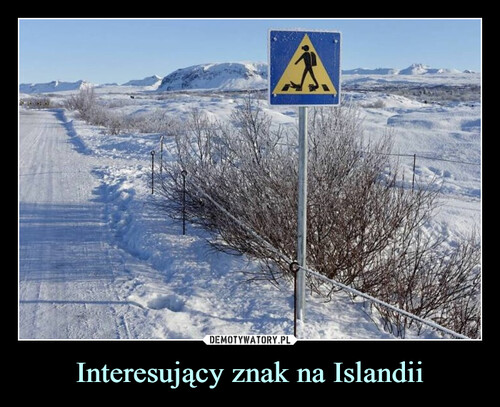 Interesujący znak na Islandii
