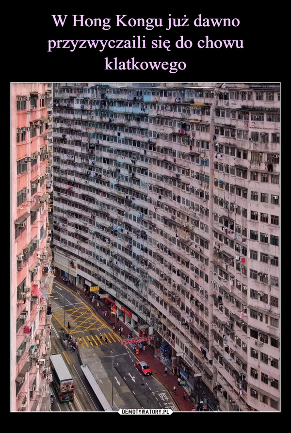W Hong Kongu już dawno przyzwyczaili się do chowu klatkowego