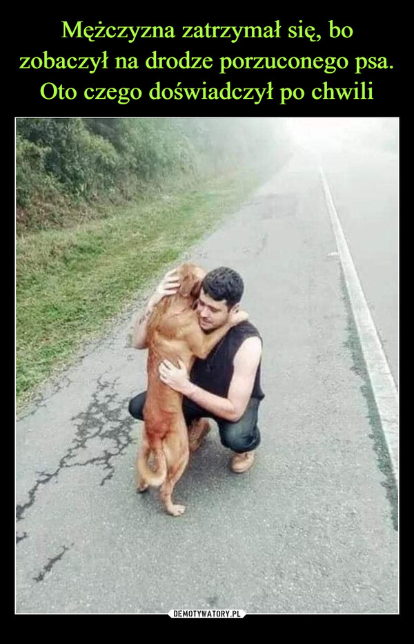 Mężczyzna zatrzymał się, bo zobaczył na drodze porzuconego psa. Oto czego doświadczył po chwili