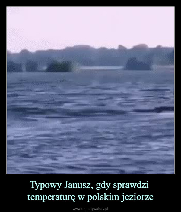 Typowy Janusz, gdy sprawdzi temperaturę w polskim jeziorze –  