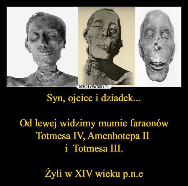 Syn, ojciec i dziadek...Od lewej widzimy mumie faraonów Totmesa IV, Amenhotepa II i  Totmesa III.Żyli w XIV wieku p.n.e –  