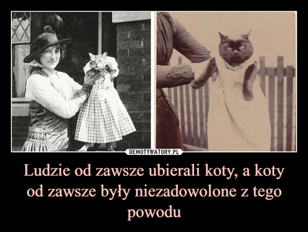 Ludzie od zawsze ubierali koty, a koty od zawsze były niezadowolone z tego powodu –  