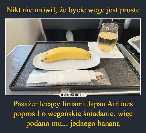 Nikt nie mówił, że bycie wege jest proste Pasażer lecący liniami Japan Airlines poprosił o wegańskie śniadanie, więc podano mu... jednego banana
