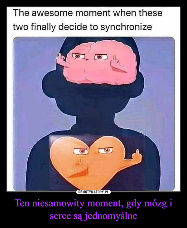 Ten niesamowity moment, gdy mózg i serce są jednomyślne –  The awesome moment when thesetwo finally decide to synchronize