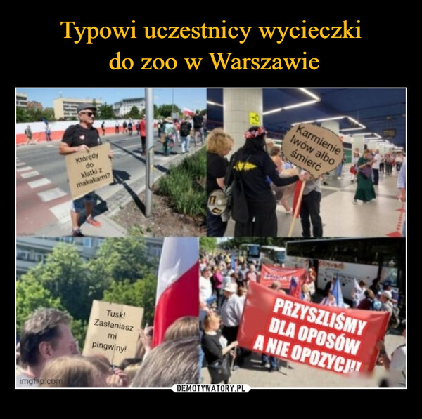 Typowi uczestnicy wycieczki
 do zoo w Warszawie