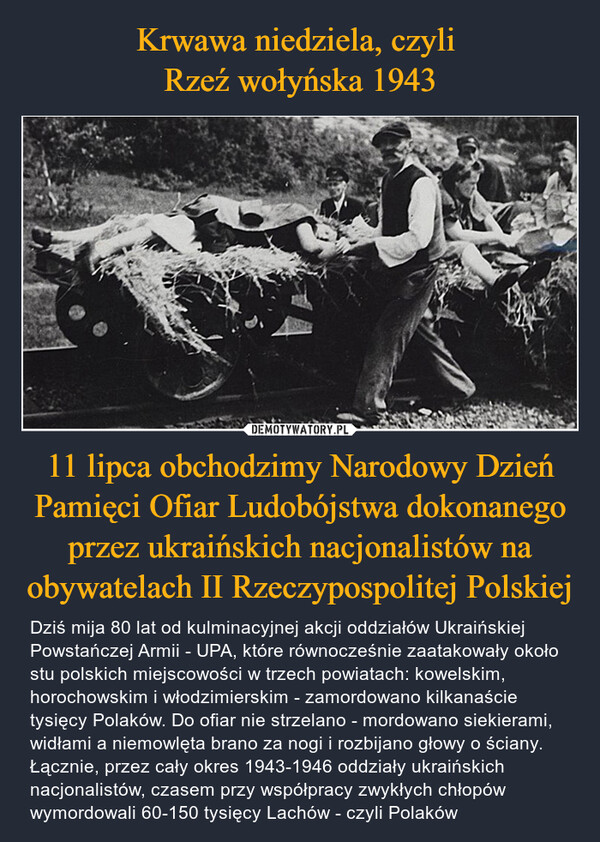 11 lipca obchodzimy Narodowy Dzień Pamięci Ofiar Ludobójstwa dokonanego przez ukraińskich nacjonalistów na obywatelach II Rzeczypospolitej Polskiej – Dziś mija 80 lat od kulminacyjnej akcji oddziałów Ukraińskiej Powstańczej Armii - UPA, które równocześnie zaatakowały około stu polskich miejscowości w trzech powiatach: kowelskim, horochowskim i włodzimierskim - zamordowano kilkanaście tysięcy Polaków. Do ofiar nie strzelano - mordowano siekierami, widłami a niemowlęta brano za nogi i rozbijano głowy o ściany. Łącznie, przez cały okres 1943-1946 oddziały ukraińskich nacjonalistów, czasem przy współpracy zwykłych chłopów wymordowali 60-150 tysięcy Lachów - czyli Polaków 