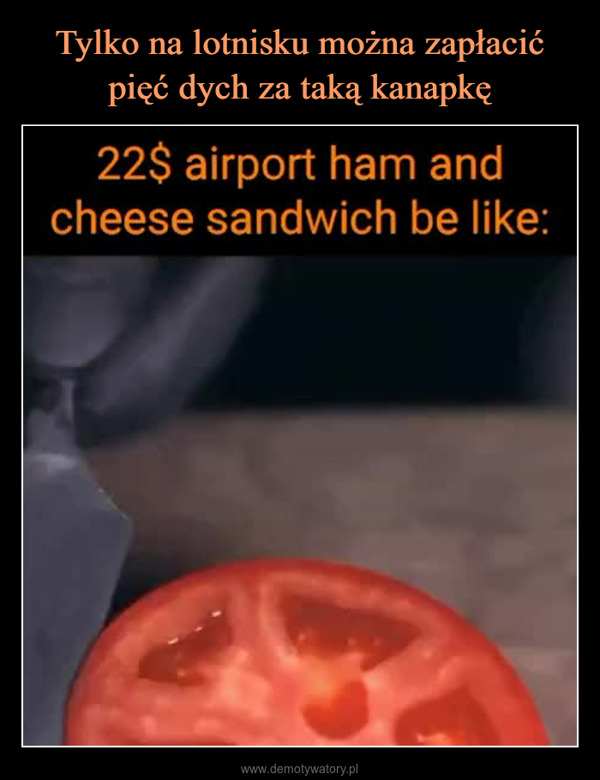  –  22$ airport ham andcheese sandwich be like: