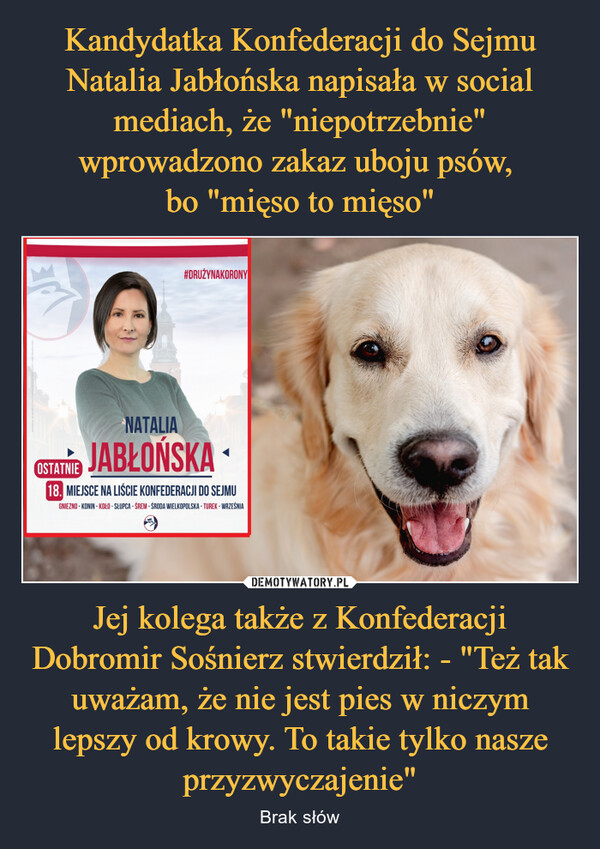 Kandydatka Konfederacji do Sejmu Natalia Jabłońska napisała w social mediach, że "niepotrzebnie" wprowadzono zakaz uboju psów, 
bo "mięso to mięso" Jej kolega także z Konfederacji Dobromir Sośnierz stwierdził: - "Też tak uważam, że nie jest pies w niczym lepszy od krowy. To takie tylko nasze przyzwyczajenie"
