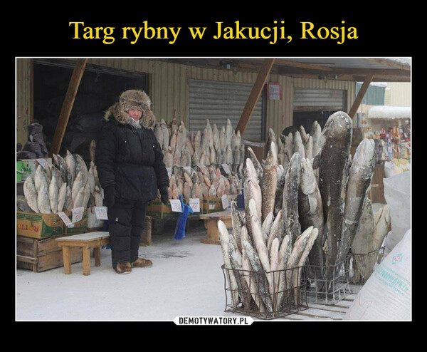 Targ rybny w Jakucji, Rosja