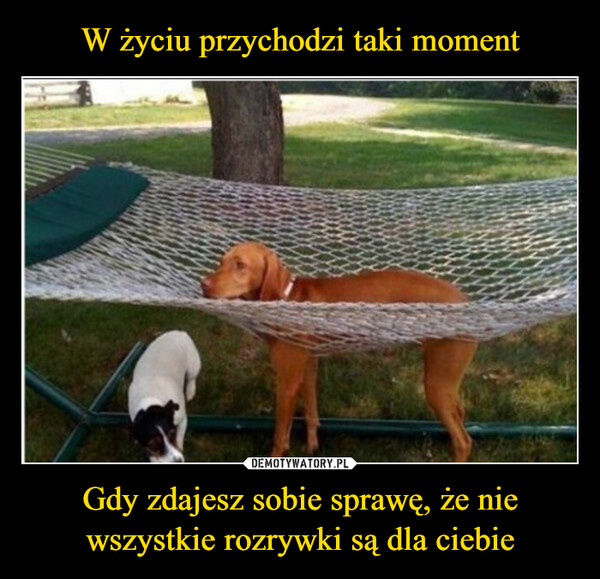 Gdy zdajesz sobie sprawę, że nie wszystkie rozrywki są dla ciebie –  Shy