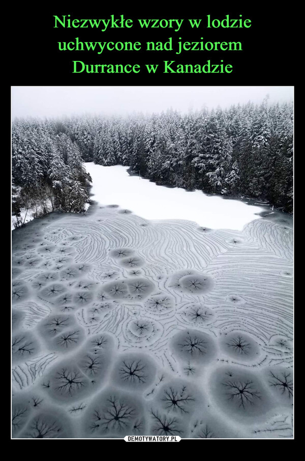 Niezwykłe wzory w lodzie uchwycone nad jeziorem 
Durrance w Kanadzie