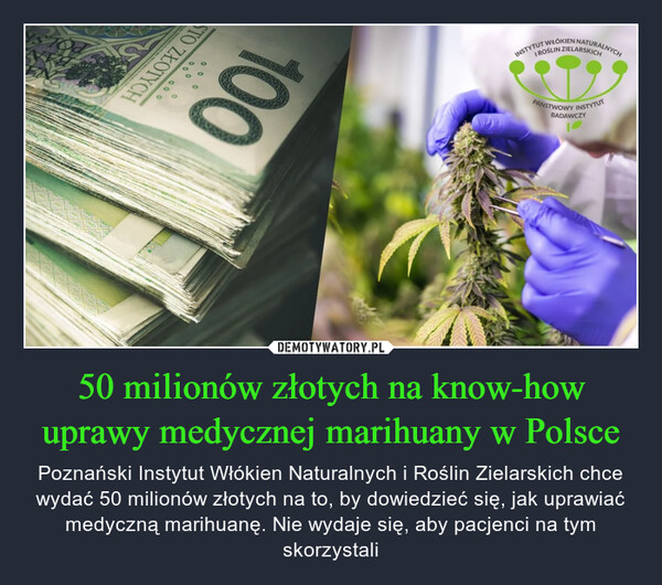 50 milionów złotych na know-how uprawy medycznej marihuany w Polsce