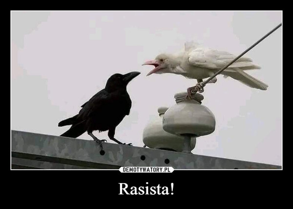 Rasista! –  