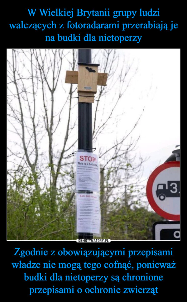 W Wielkiej Brytanii grupy ludzi walczących z fotoradarami przerabiają je na budki dla nietoperzy Zgodnie z obowiązującymi przepisami władze nie mogą tego cofnąć, ponieważ budki dla nietoperzy są chronione przepisami o ochronie zwierząt