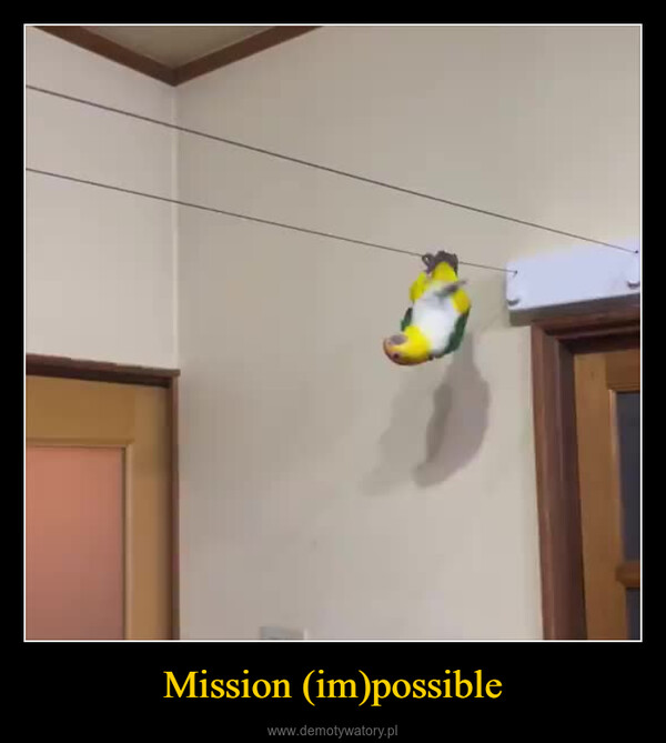Mission (im)possible –  